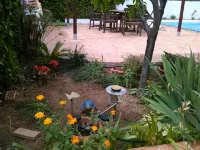 Rural house in the countryside (minutes from Granada, Coast and Sierra Nevada