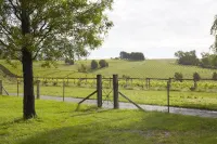 Luxury vineyard log cabin in the Yarra Valley