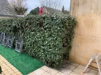 Pleasant house, pool access in summer season.