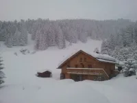 Chalet Luxe  10p, Sauna Jacuzzi Near Pistes Các khách sạn gần Les 3 Vallées