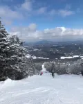 Cozy chalet minutes from Okemo Mtn & VAST - Alphydda
