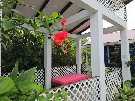Casa Mandala, un oasis fresco en la calurosa selva de Tortuguero con wifi y aire Отели в г. Лимон