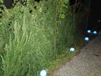 El Cirerer. En Plena Naturaleza y Cerca de Playas. Alicante Hotels in Castalla