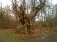 Casa Martikonea for 16 people Hotels in Ultzamaldea