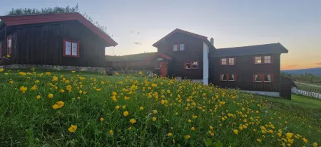 Skotten Seter - Bed & Husky Отели в г. Tretten