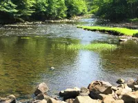 The Lazy Trout.  Livin Lazy at the Little Missouri River