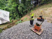 Corcovado Paradise Lodge Hotels in Drake