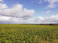 4 star holiday home in Stege-By Traum Hotels in Stege