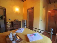 Holiday Home in Chianti with Pool & Terrace - Apartments