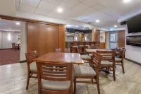 Best Western Plus Ottawa City Centre