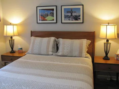 Walk to Lifts/Restaurants/Shops/Listen to the Stream/Watch Skiers from Your Kit.