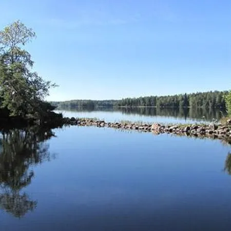 Kuikka