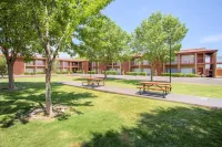 Best Western Mission Inn Hotels in Las Cruces