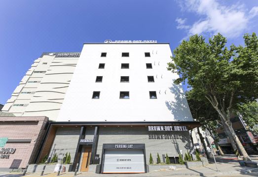 브라운도트 객실 내부