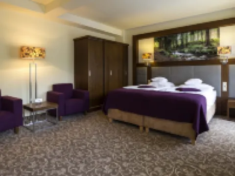 Hotel Mercure Krynica Zdrój Resort&Spa Hotels in Krynica Zdroj