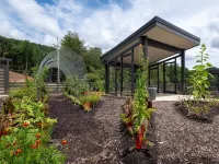 Creekside Yurt - The Dreamer - Mountain view
