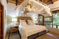 Karongwe - Noka House - 2 stjerner