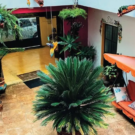 Rooftop•Fast Wifi•Garden•Washer•Parián•Secure
