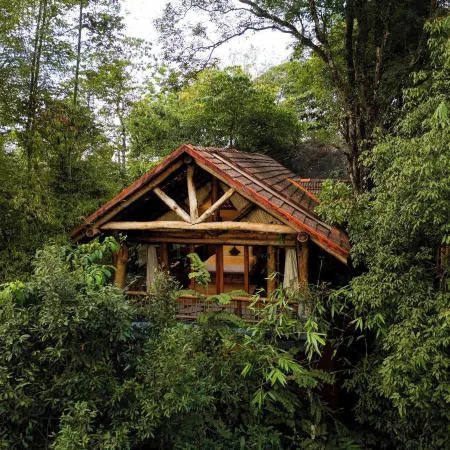 Avana Holiday Experiences
