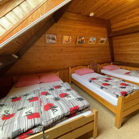 Family Farmhouse with Go-Karts