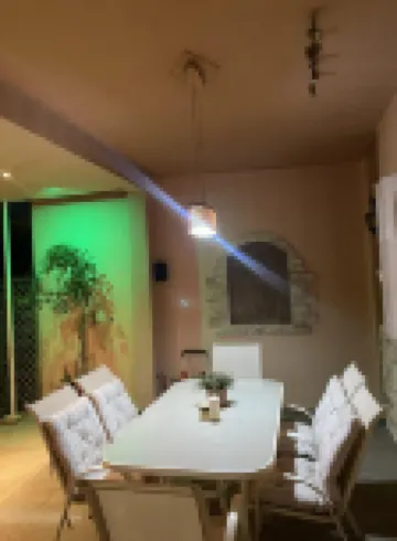 Oasis Garden Apartment