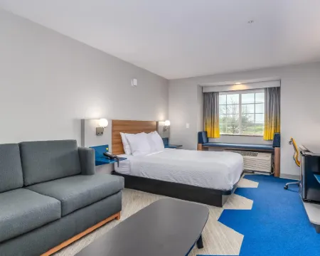 マイクロテル イン & スイーツ バイ ウィンダム モントゴメリー モントゴメリーのホテル