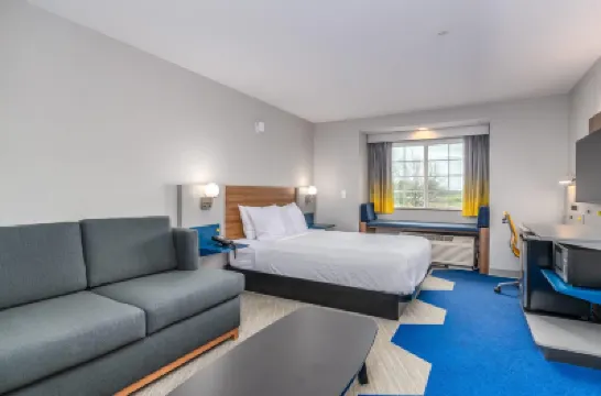 Microtel Inn & Suites by Wyndham Montgomery Hotels near Amridge University