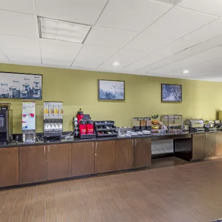 Best Western Plus McDonough Inn Suites