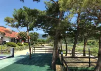 Sancheong Oriental Resort Pension