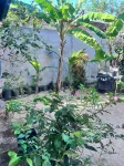 Garden Lodge Hotel Hotels in 