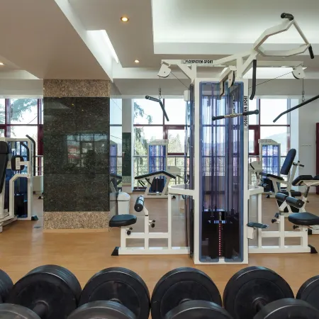 Hotel Piatra Mare