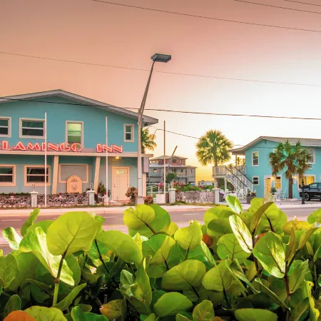 Flamingo Inn