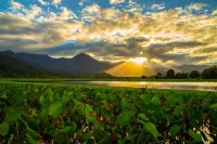 Hale Kanani (Kaua'i) TVNC 1342