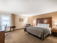 Comfort Inn Hotels in Concord