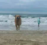 Surf Sounds Almost Oceanfront, Beach Access Across the Street - Beach