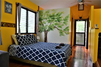 Treetop Cottage Escape in Tropical Garden Near San Ignacio Hotels in 