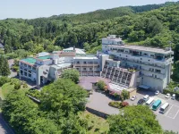 Hotel Oyanagi - Yüzme Havuzu
