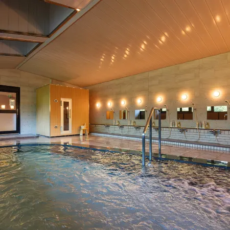Sanage Onsen Hotel Kinsenkaku