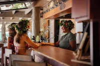 Green Lodge Moorea - بار