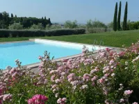 Sangallo Park Hotel - Pool