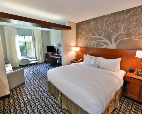 Fairfield Inn & Suites Savannah Midtown Hotels near Memorial Stadium