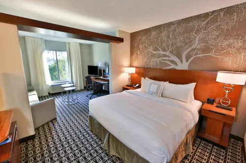 Fairfield Inn & Suites Savannah Midtown - spa
