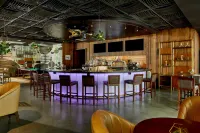 The Sarasota Modern, a Tribute Portfolio Hotel - bar