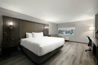 Verta Hotel McAllen - Pet friendly