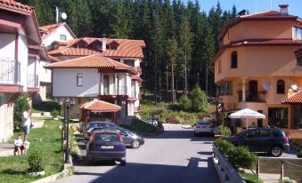 Ski Villa in Pamporovo Forest