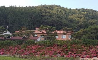 Jangseong Siloam Pension