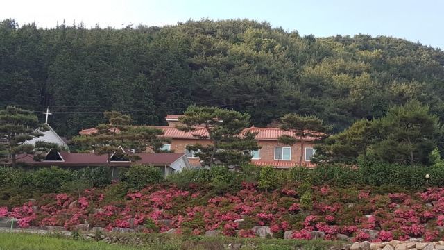 장성 실로암펜션