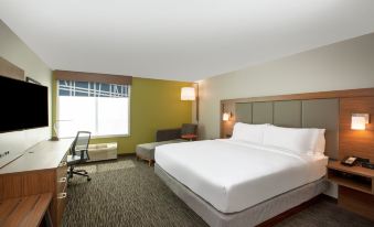 Holiday Inn Express & Suites Norfolk