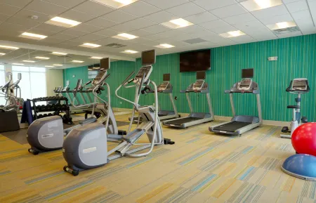 Holiday Inn Express & Suites OMAHA - MILLARD AREA by IHG