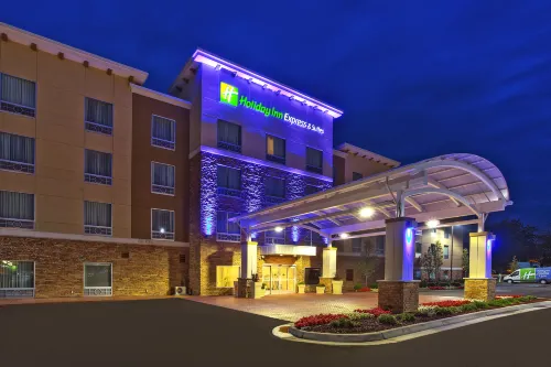 Holiday Inn Express & Suites ANN ARBOR WEST by IHG - Parkering